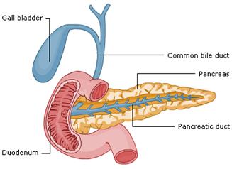 Pancreatitis - fig 1_1